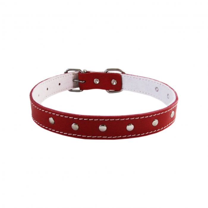 Zgarda L3 2.5/53 cm - Ornament - Rosu [2]