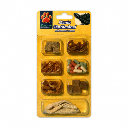 REPTILE - Exo Meniu Saptamanal Broscute Blister