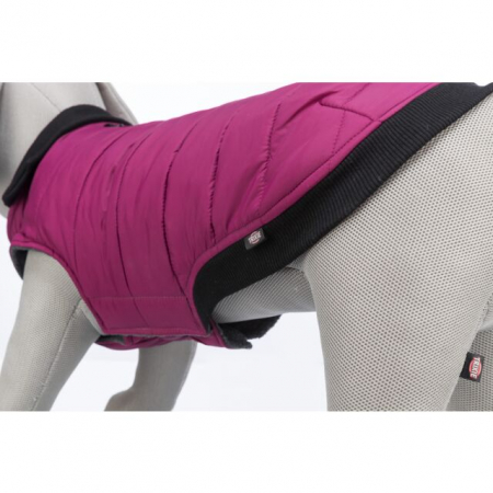  Hainuta Arlay, XS: 27 cm, Visiniu, 680333 [3]