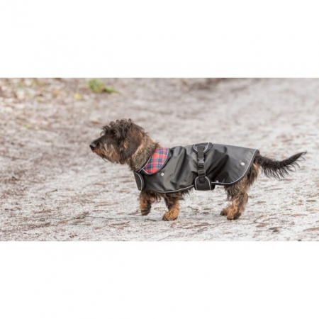  Hainuta Hermy 2 in 1 Impermeabila, S: 43 cm, Negru, 681003 [6]