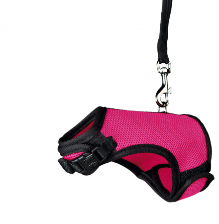 Plimbare - Ham Si Lesa Pentru Porcusori de Guineea, Soft, 18-25 cm/1.20 m, Diferite Culori, 61512