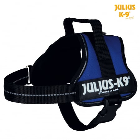 Hamuri - Ham Julius-K9 Mini/M 51-67 cm/28 mm Albastru 15022
