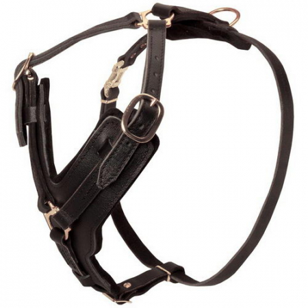 CAINI - Ham L7 Piele - Forta 74-92 cm/25 mm Negru