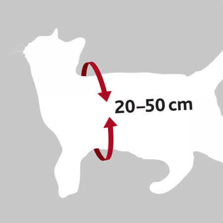 Ham Si Centura Auto Pentru Pisici, 20-50 cm/15 mm, Rosu, 1294	 [7]