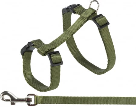 Ham si Lesa Pentru Pisici, 27-45 cm/10 mm, 1.20 m, Diferite Culori, 41878 [1]