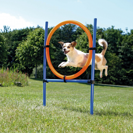 Inel Pentru Caini, Fun Agility, Plastic, 115x3 cm, 65 cm, 3208	 [1]