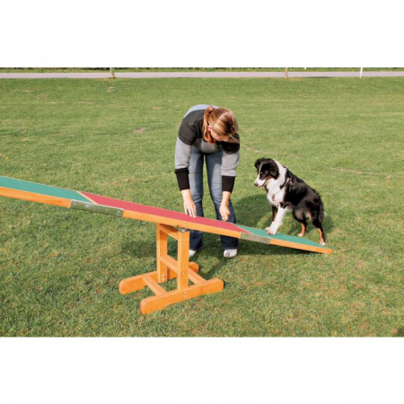 Balansoar Pentru Caini, Fun Agility, 300x54x34 cm, Pana la 80 kg, 3213	 [2]