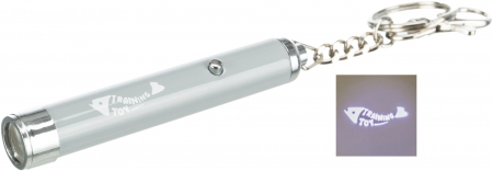 Jucarie Pentru Pisici, Indicator LED Cu Motiv Peste, 8 cm 4130 [1]