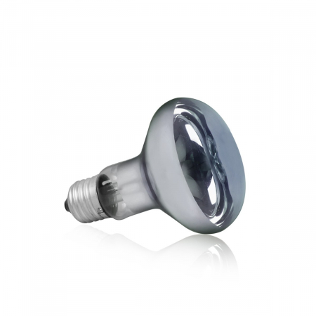 Bec De Incalzire Pentru Terariu, Cu Lumina De Zi, 25W, BN01	 [1]