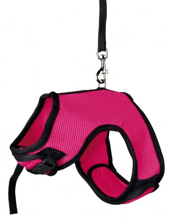 Plimbare - Ham Si Lesa Pentru Iepuri, Soft, 25-40 cm/1.20 m, Diferite Culori, 61514