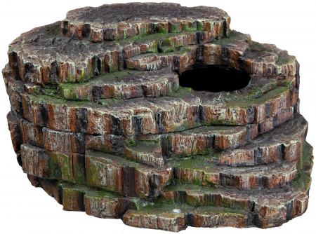 Pestera Sarpelui, 26x20x13 cm, 76199 [2]