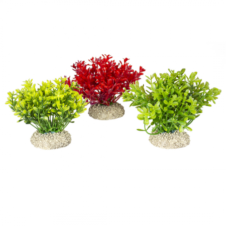 Plante artificiale - Planta Artificiala Glosso S 9 cm Diferite Culori 242/458082