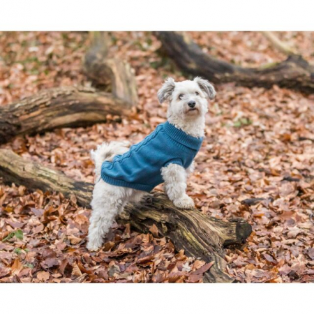  Pulover Kenton, L: 55 cm, Albastru, 680068 [6]