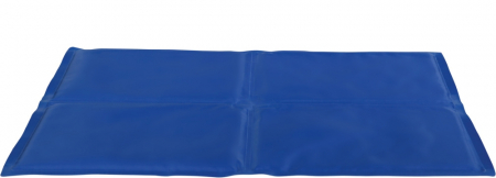 Saltele - Saltea Racoritoare, 100 x 60 cm, Albastru, 28688