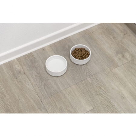 Servet Pentru Castron, PVC, 48 x 30 cm, Transparent, 24565 [2]