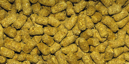 Hrana Pentru Testoase, Tortoise Sticks, 250 ml, DP250B	 [1]
