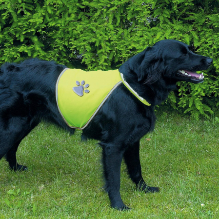 Veste - Vesta De Siguranta, M: 32 cm, 42-50 cm/50-68 cm, Galben Neon, 30082