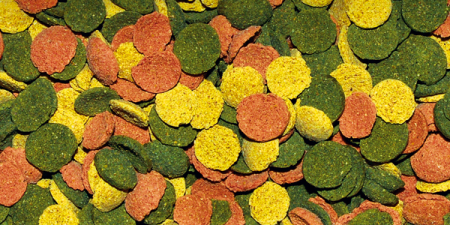 Wafer Discs Mix 100 ml- Dp061A [1]