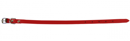 Zgarda L0 1.2/37 cm - Simplu - Rosu [1]