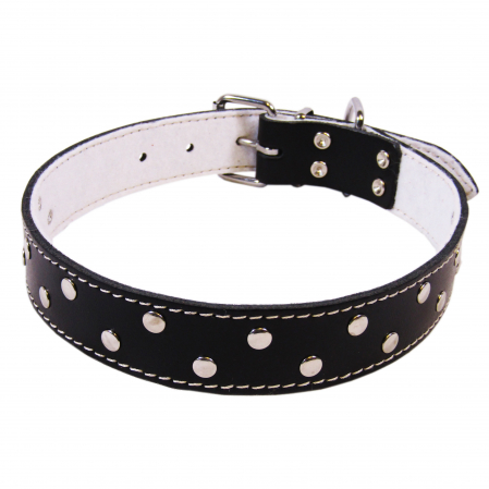Zgarzi - Zgarda L4 3.0/62 cm - Ornament Negru