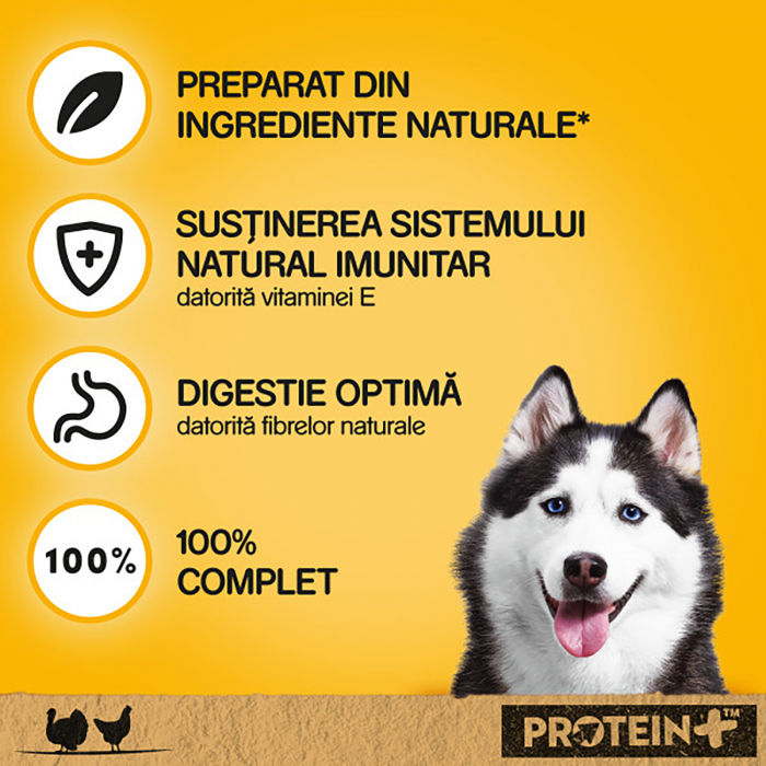 Hrana umeda pentru caini Pedigree Adult, Pui si Curcan, in Aspic 800 g [5]