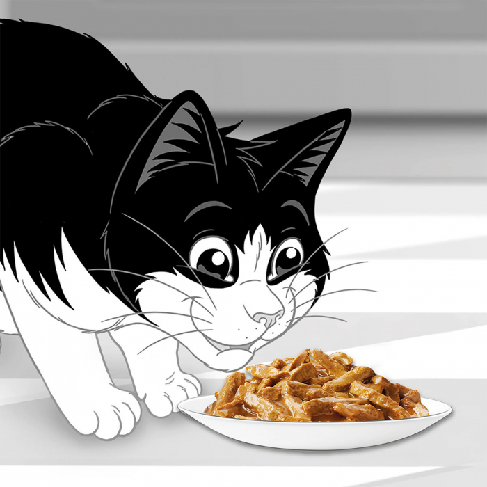 Hrana umeda Felix Fantastic, Multipack, Somon in Aspic, 4x85 g [4]