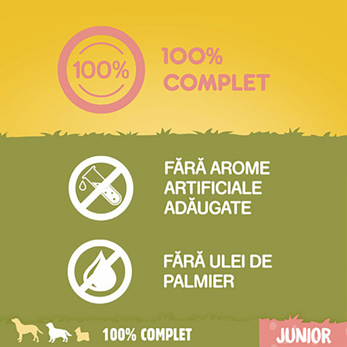 Hrana uscata pentru caini Pedigree Junior talie mica cu pui si orez, 500 g [2]