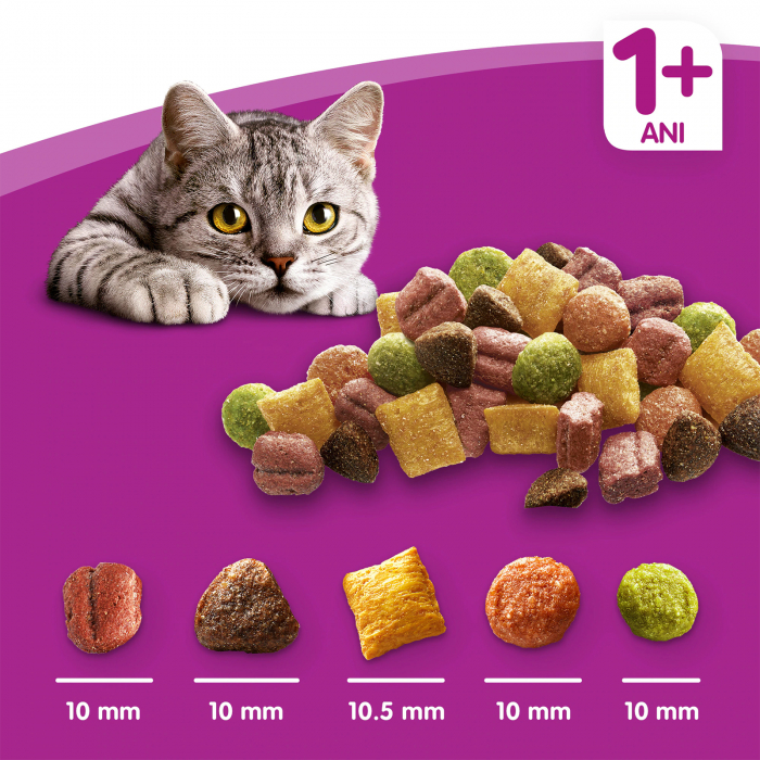 Hrana uscata pentru pisici Whiskas, Pui si Ficat, 14Kg [5]