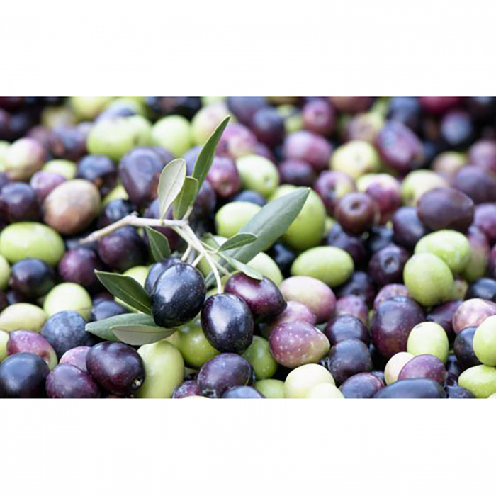 Masline negre Kalamon, Yunus, calibru 280-320, Yunus, 700 g [3]