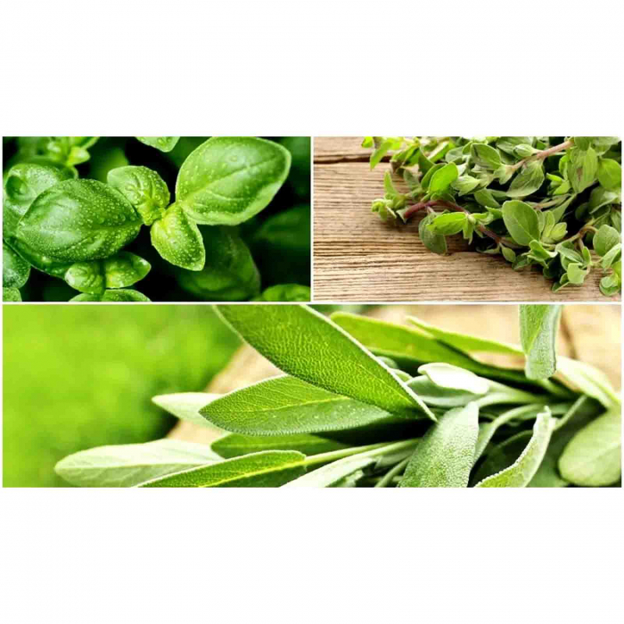 Mix condimente pentru pizza, Metro Chef, 100 gr [2]