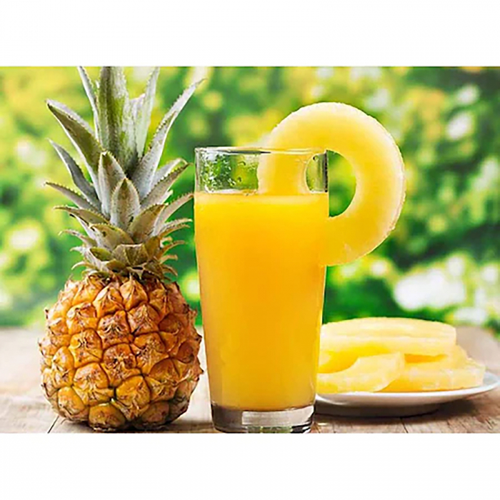 Nectar de ananas 50%, Santal, 1 l [3]
