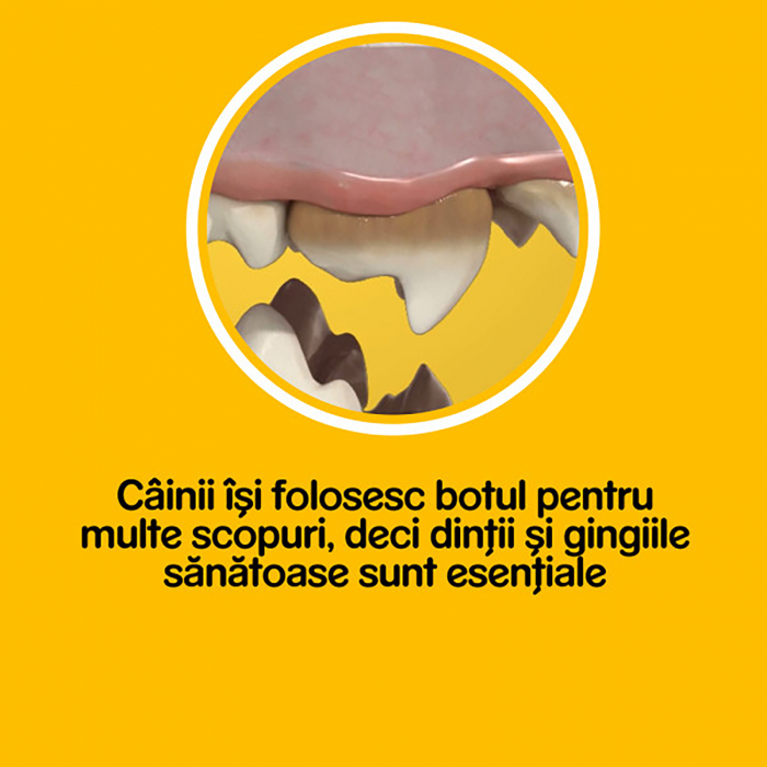 Recompense pentru caini Pedigree DentaStix Batoane dentare, talie medie, 3 buc, 45 g [4]