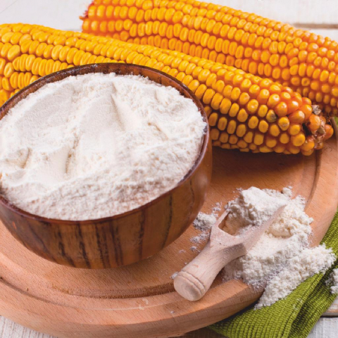 Amidon Profesional, 1 Kg, Pakmaya [1]