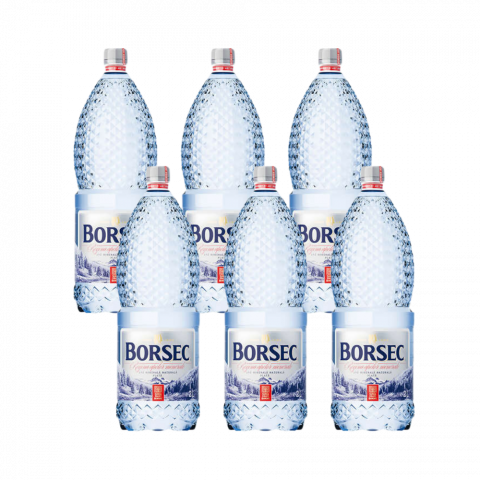 Apa - Apa minerala Naturala Plata Borsec bax 1L x 6 sticle