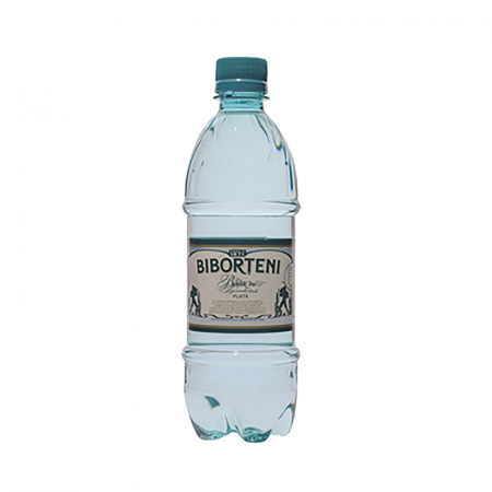 Bauturi Non-Alcoolice - Apa Plata, 12 x 0,5 L, Biborteni