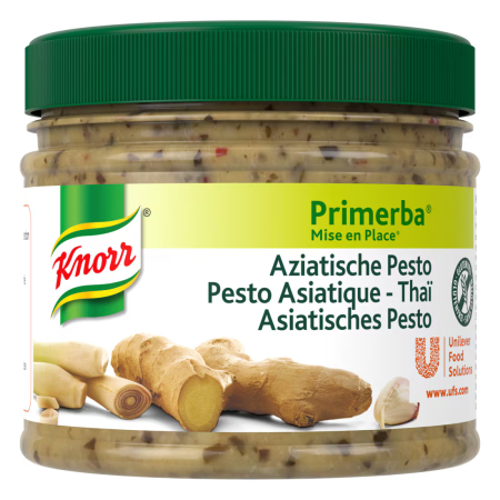 Condimente & Mixuri - Baza pentru sosuri si mancaruri cu Pesto Asiatic, Knorr, 340 g-Vivomarket.ro