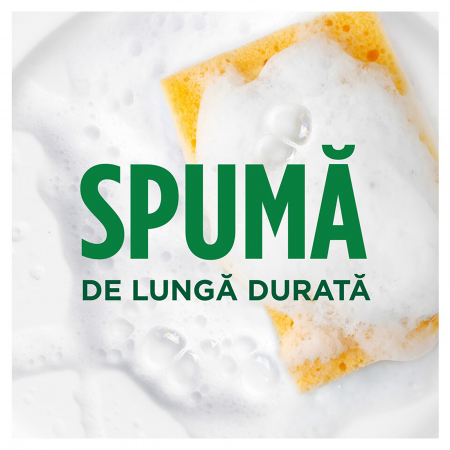 Detergent de vase Fairy Max Power Arbore de ceai, 650 ml [2]