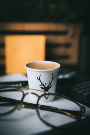 Ginseng, 12 capsule compatibile Cafissimo/Caffitaly/Beanz - Capsuleria [1]