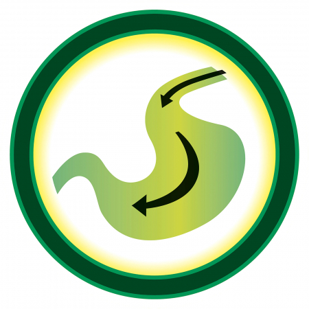 Hrana umeda pentru caini Friskies, Multipack Pui, Vita si Miel, 4x100g [3]