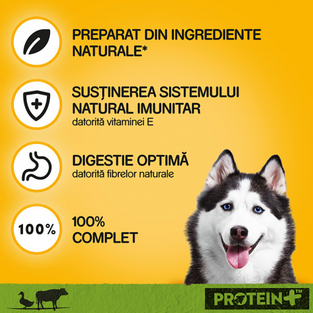 Hrana umeda pentru caini Pedigree Adult, Rata si Vita, in Aspic 800 g [4]