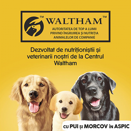 Hrana umeda pentru caini Pedigree Adult, Pui si Morcovi, in Aspic 1.2 Kg [3]