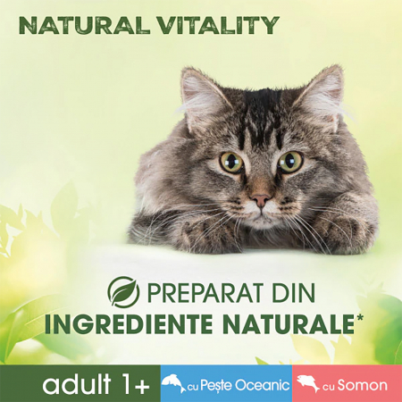 Hrana umeda pentru pisici Perfect Fit Natural Vitality, Peste oceanic si somon, 6x50g [2]