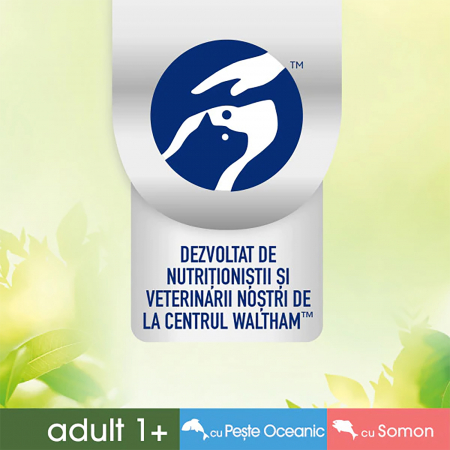 Hrana umeda pentru pisici Perfect Fit Natural Vitality, Peste oceanic si somon, 6x50g [6]