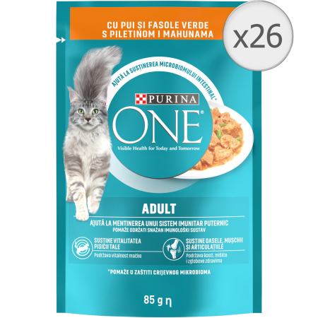 Petshop - Hrana umeda pentru pisici Purina One Adult, Mini Fileuri cu Pui & Fasole Verde, In Sos, 26 x 85 g