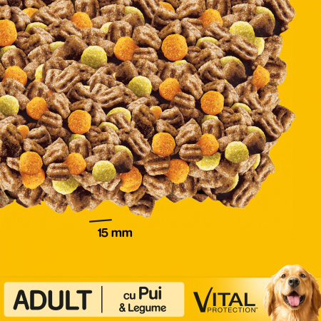 Hrana uscata pentru caini Pedigree Adult, Pui si Legume, 10 Kg [7]