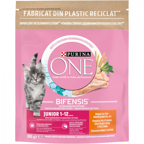 Hrana pentru pisici - Hrana uscata pentru pisici cu continut bogat in Pui si Cereale Integrale, Purina One Junior, 800g