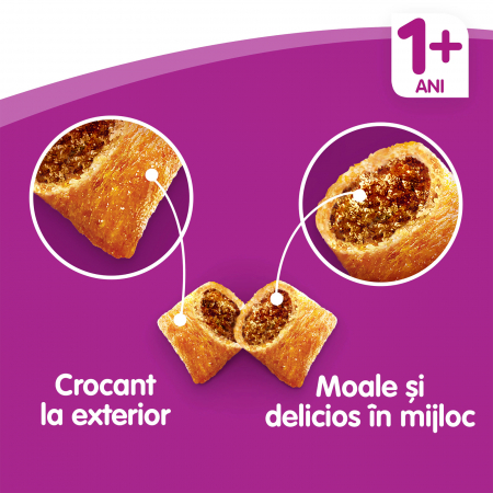 Hrana uscata pentru pisici Whiskas, Pui si Ficat, 14Kg [3]