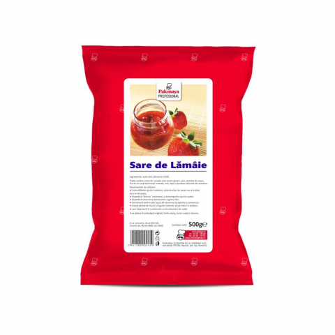 Produse Horeca - Sare de Lamaie, Pakmaya Profesional, 500 g-Vivomarket.ro