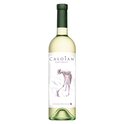 Bauturi - Vin Alb, Caloian, Pinot Grigio, Sec, 0.75l-Vivomarket.ro