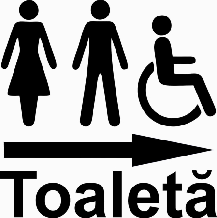 AUTOCOLANTE - AUTOCOLANT TOALETA DREAPTA